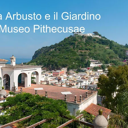 Casa Caterina Lacco Ameno (Isola d'Ischia)